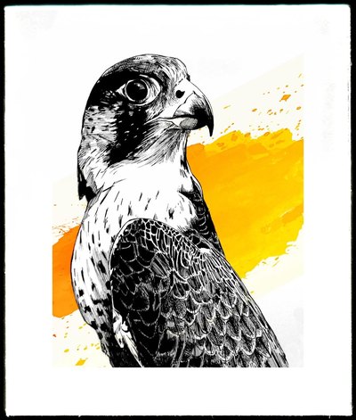 Vivid artwork 24 by Vinay Deshpande