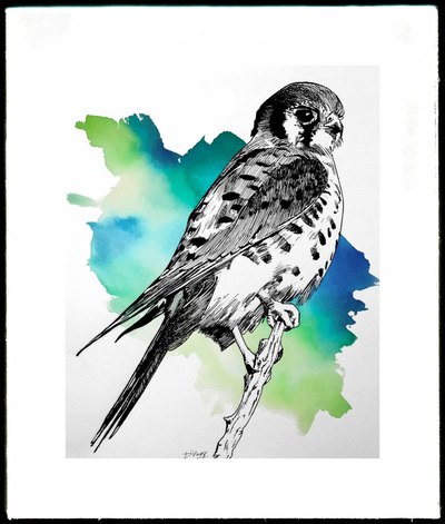 Vivid artwork 27 by Vinay Deshpande