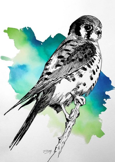 Vivid artwork 47 by Vinay Deshpande